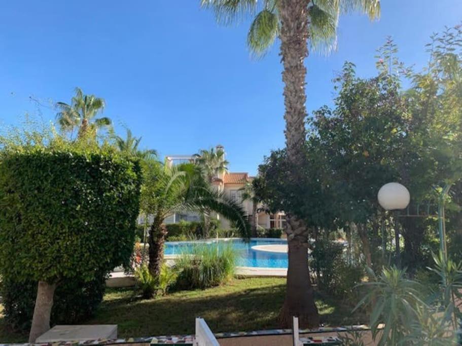 Schoenes Ferienbungalow In Los Altos Torrevieja Eksteriør bilde